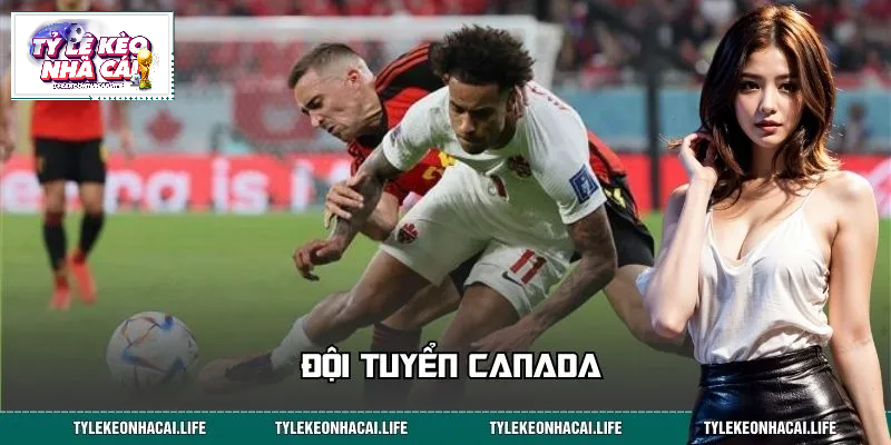 Đội Tuyển Canada – Thông Tin Mới Nhất Từ Góc Nhìn Chuyên Gia