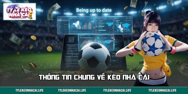 Giới thiệu thông tin chung về trang web kèo nhà cái