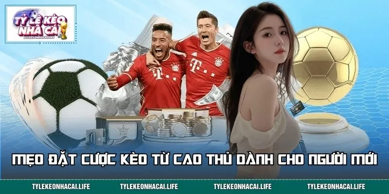 Mẹo đặt cược kèo từ cao thủ dành cho người mới